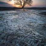 春に向かって/Photoi