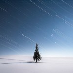 月が照る夜半に/shota